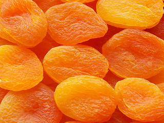 Image showing Dried apricots