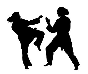 Image showing Women karate fight