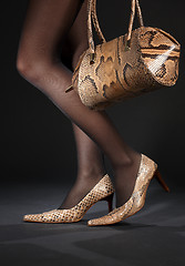 Image showing snakeskin shoes and handbag