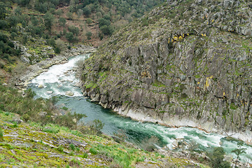 Image showing Paiva river