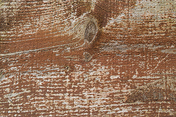 Image showing Wood texture background 