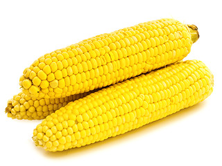 Image showing Corns 