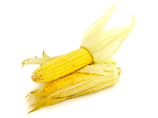 Image showing Corn