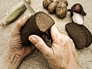 Image showing Bread 