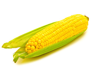 Image showing Corn 