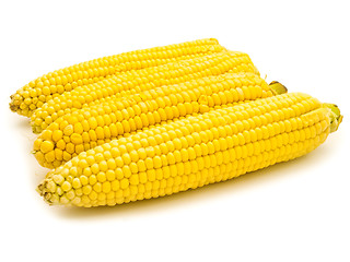 Image showing Corns 