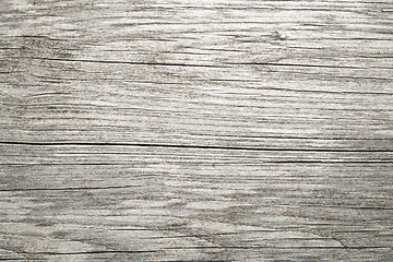 Image showing Wood background