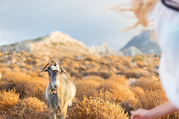 Image showing Woman and domestic goat in mountains.