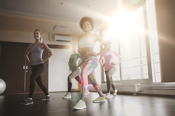 Image showing group of happy women working out in gym