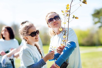 Image showing volunteers family with tree seedling in park