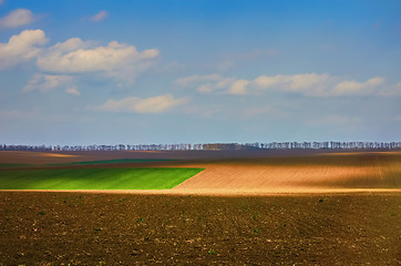 Image showing Fields on Cloudy Day