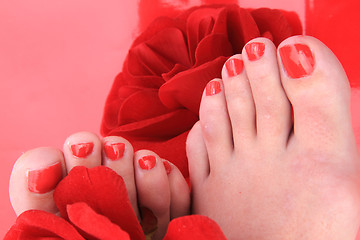 Image showing nice legs with pedicure