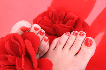 Image showing nice legs with pedicure