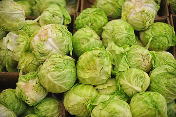 Image showing green fresh cabbage