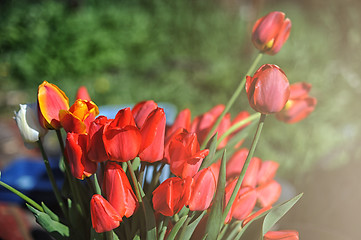 Image showing bunch of red tulips 