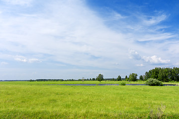 Image showing green field background