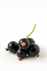 Image showing Black Currant berries