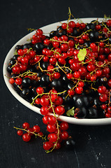Image showing black and red currant berries