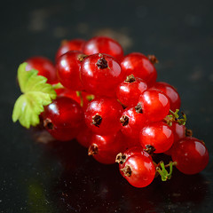 Image showing Red Currant berries