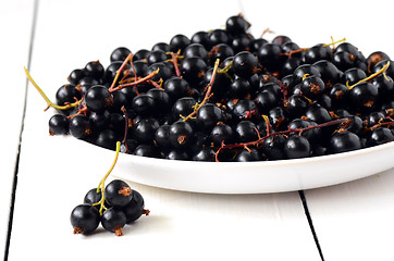 Image showing Black Currant berries