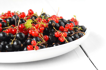 Image showing black and red currant berries
