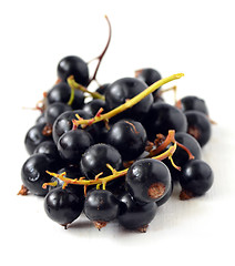 Image showing Black Currant berries