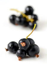 Image showing Black Currant berries