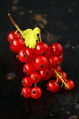 Image showing Red Currant berries