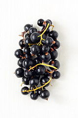 Image showing Black Currant berries