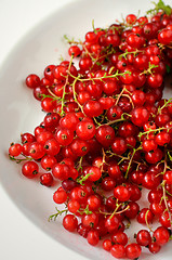 Image showing Red Currant berries