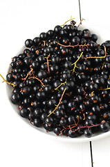 Image showing Black Currant berries