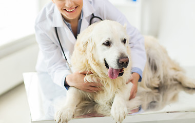 Image showing close up of vet with retriever dog at clinic