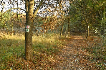 Image showing Hiking trail signs