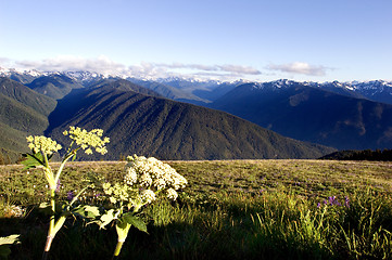 Image showing Mountain range