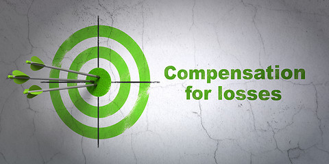 Image showing Currency concept: target and Compensation For losses on wall background