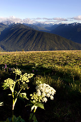 Image showing Mountain Range