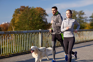 Image showing happy couple with dog running outdoors