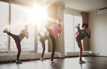 Image showing group of women working out and fighting in gym