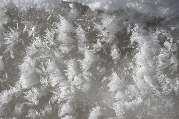 Image showing Frost