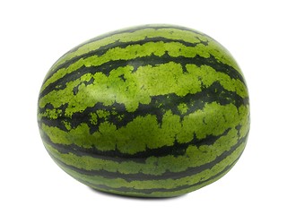 Image showing Watermelon on white