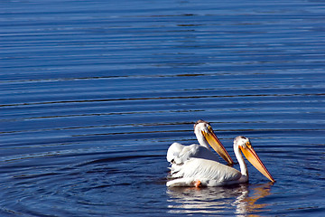 Image showing Yellowstone river