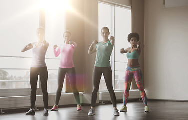 Image showing group of women working out in gym