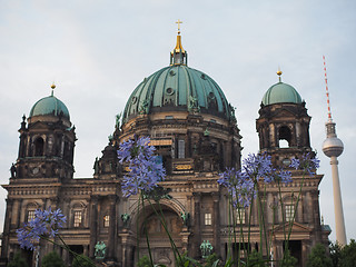 Image showing Berliner Dom in Berlin