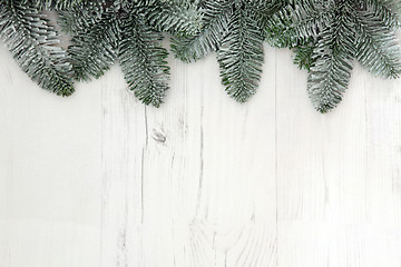 Image showing Christmas Spruce Fir Background