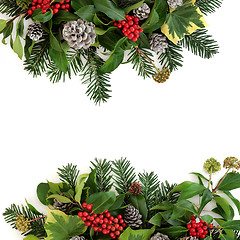 Image showing Traditional Winter Floral Border