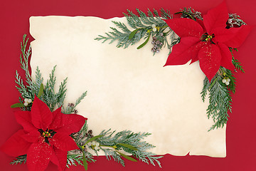 Image showing Poinsettia Flower Background Border