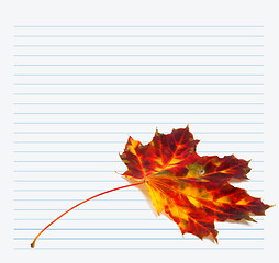 Image showing Multicolor autumn maple-leaf and notebook paper