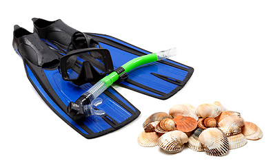 Image showing Diving equipment and seashells