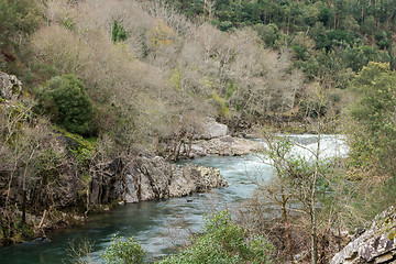 Image showing Paiva river