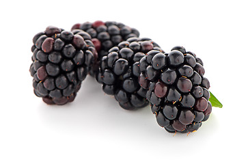 Image showing Blackberries with leaves